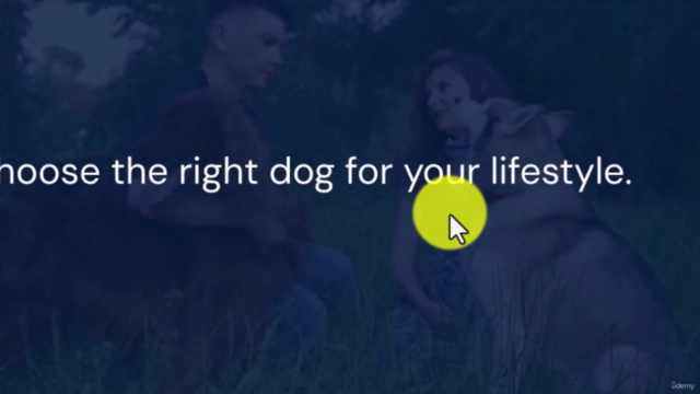 Practical Dog Training: From Basics to Off-Leash Obedience – Screenshot 2