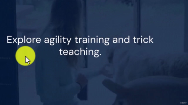 Practical Dog Training: From Basics to Off-Leash Obedience – Screenshot 4