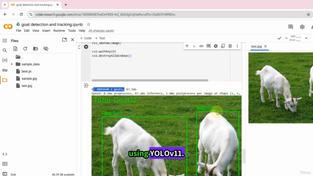Object Detection And Tracking Using Yolov11 : Deep Learning – Screenshot 1
