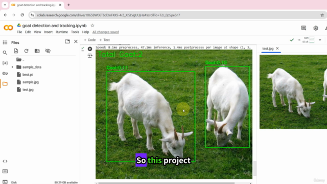 Object Detection And Tracking Using Yolov11 : Deep Learning – Screenshot 4