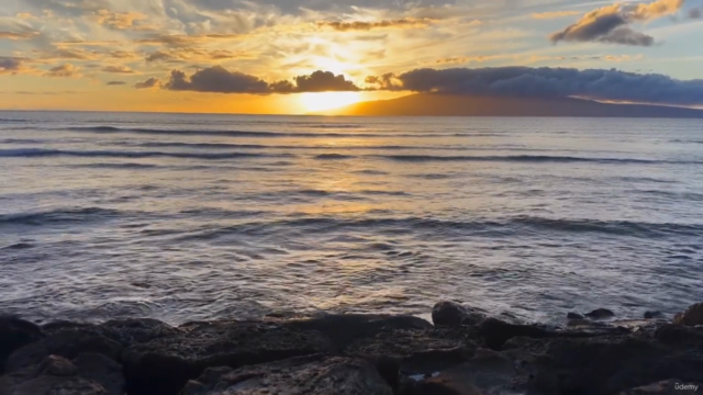 Somatic Healing Life Coach Certification (and EMDR) – Screenshot 1
