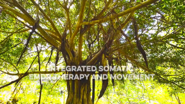 Somatic Healing Life Coach Certification (and EMDR) – Screenshot 2