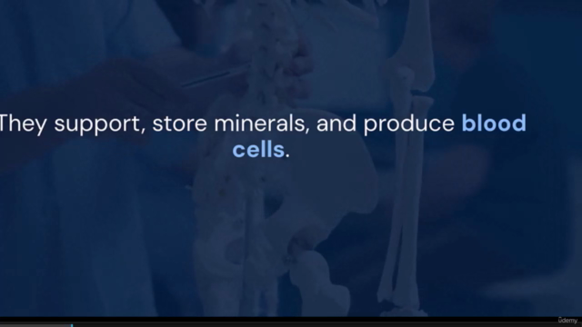 Understanding Bone Diseases: From Basics to Breakthroughs – Screenshot 1