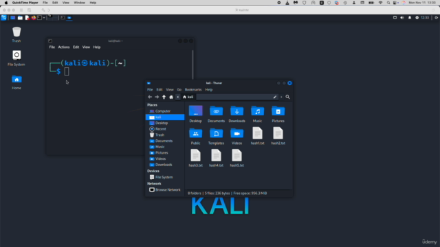 Hash Cracking for Beginners – Screenshot 1