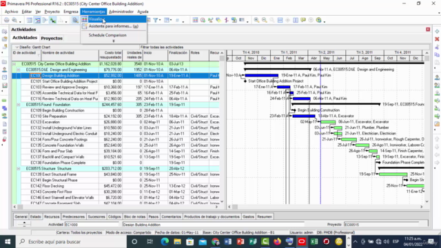 Gestión de Proyectos con Oracle Primavera P6 y Ms Project – Screenshot 3