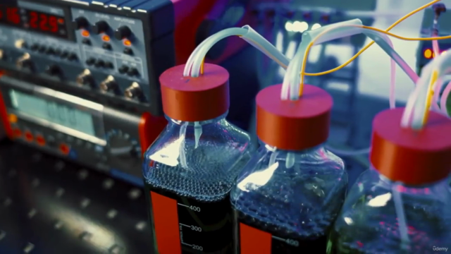 Masterclass en Biomasa: Líder en Innovación Energética – Screenshot 2