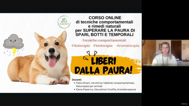 Liberi dalla paura -temporali, botti, spari- – Screenshot 1