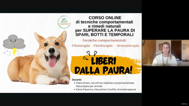 Liberi dalla paura -temporali, botti, spari- – Screenshot 2