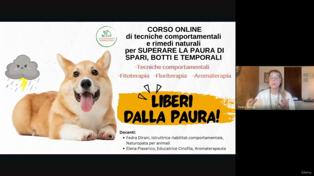 Liberi dalla paura -temporali, botti, spari- – Screenshot 3
