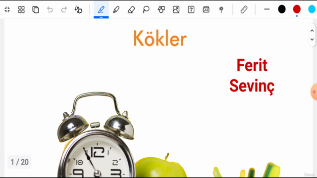 EN BAŞTAN DİL BİLGİSİ-KÖKLER – Screenshot 4