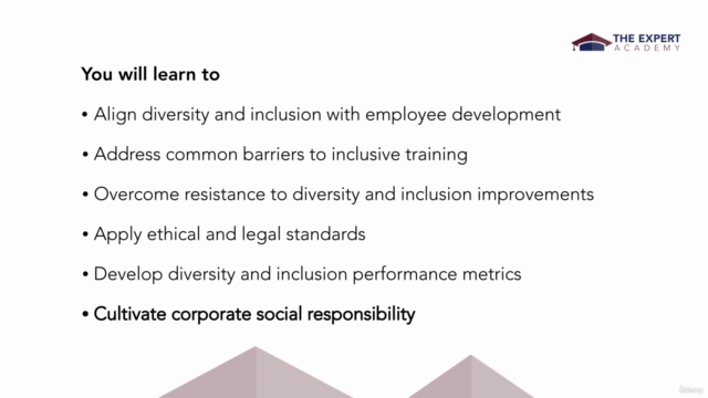 Implement Diversity And Inclusion Training Strategies – Screenshot 3