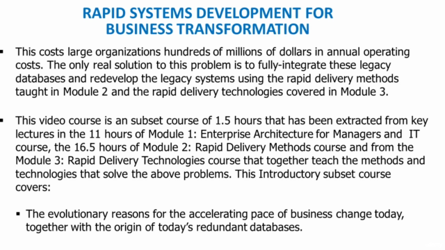 1) Rapid Systems Development for Business Transformation – Screenshot 2