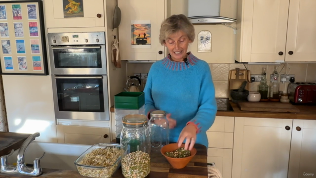 Easy Sprouting! – Screenshot 1