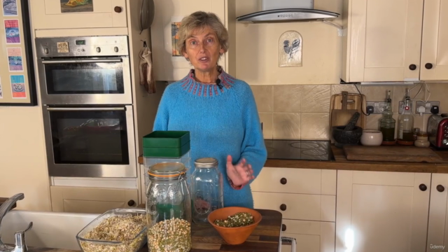Easy Sprouting! – Screenshot 3