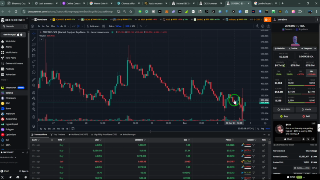 Meme Coin Mastery: How To Trade Solana Memecoin For Profit – Screenshot 2