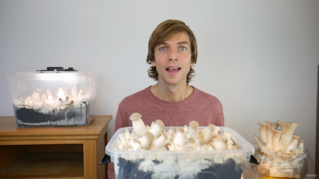 Growing Mushrooms for Healing and Transformation – Screenshot 1