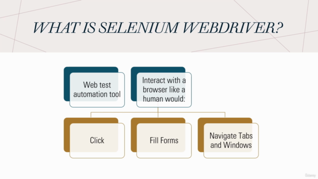 Selenium Testing Frameworks with C# and NUnit – Screenshot 2