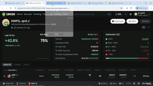 Copy Trading On Solana For Absolute Beginner – Screenshot 4