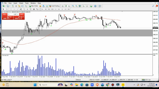 Wyckoff Volume Spread Analysis Smart Money Trading Course – Screenshot 2