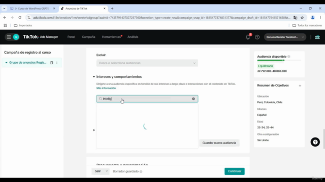 Cómo Hacer Anuncios Efectivos en TikTok Ads 2025 – Screenshot 4