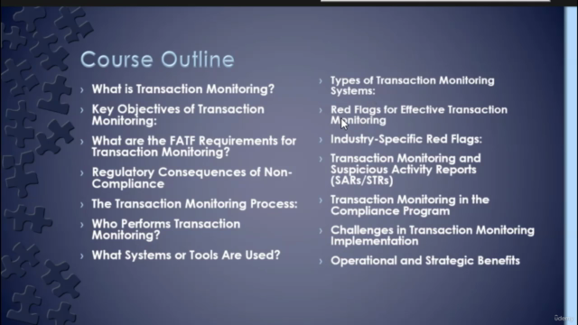Mastering Transaction Monitoring: A Comprehensive Guide – Screenshot 2