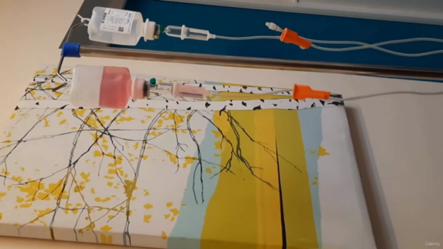 Advanced Phlebotomy & IV Drip Therapy Course and Training – Screenshot 4