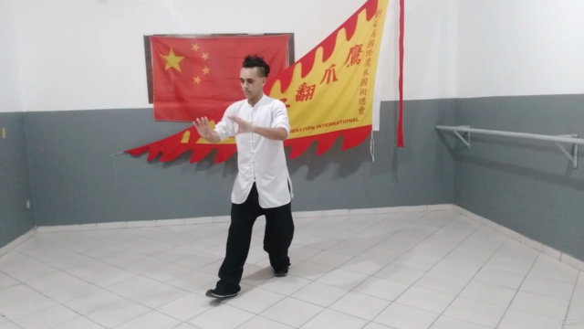 Tai Chi Chuan em 13 Passos – Screenshot 1