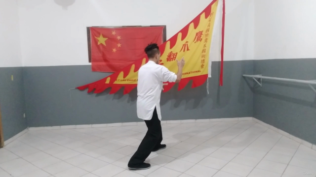 Tai Chi Chuan em 13 Passos – Screenshot 2