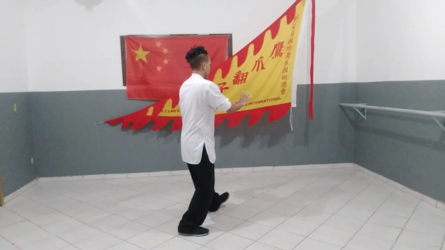Tai Chi Chuan em 13 Passos – Screenshot 3