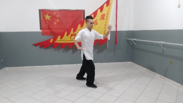 Tai Chi Chuan em 13 Passos – Screenshot 4