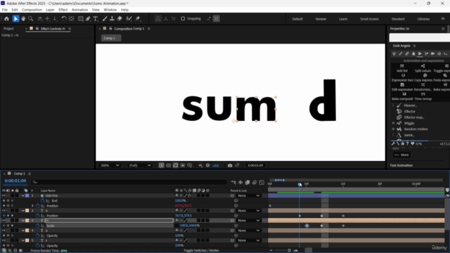 Logo Animation in Adobe After For Beginners – Screenshot 3