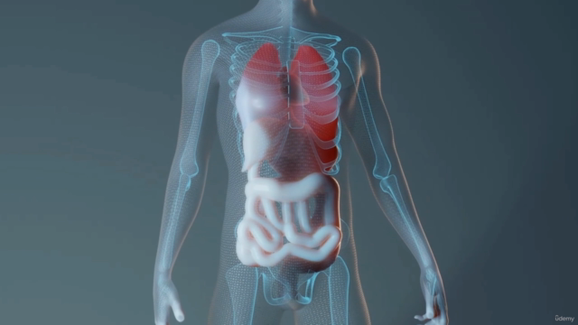 Nutrition Certification: Gut Health Diploma (Accredited) – Screenshot 2