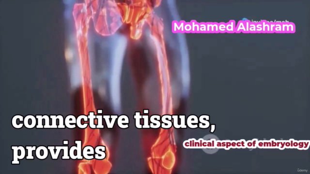 Clinical Embryology: A Practical Approach – Screenshot 2