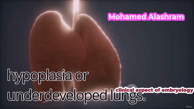 Clinical Embryology: A Practical Approach – Screenshot 3