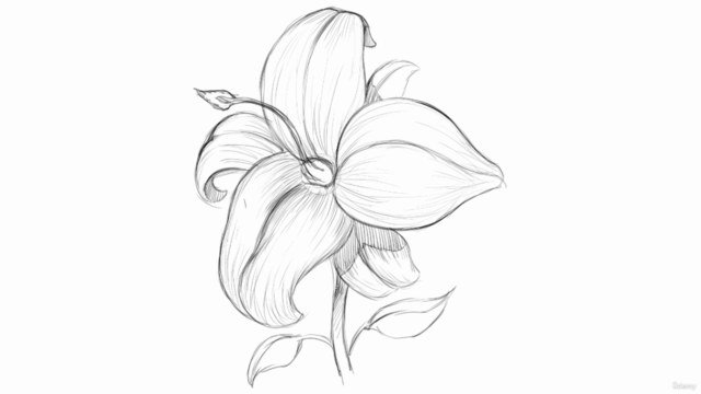 How to Draw with Organic Forms – Screenshot 3