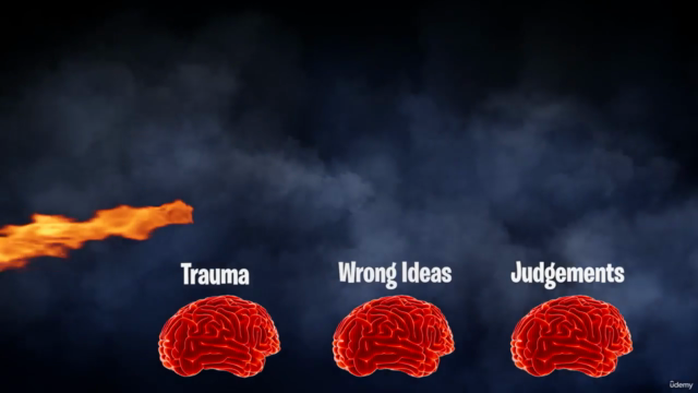 Introduction to the Science Institute of Quantum Embodiment – Screenshot 2