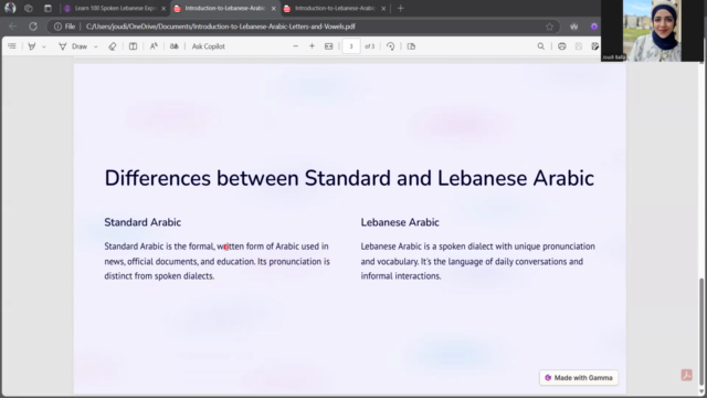 Learn Lebanese Arabic: Letters, Vowels and Script – Screenshot 3