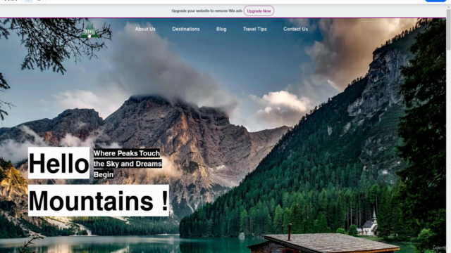 Wix Website Creation Course From Scratch – Screenshot 3