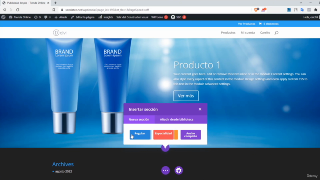 Dominando WordPress + DIVI 2025 – Screenshot 1