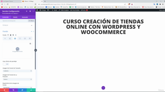 Dominando WordPress + DIVI 2025 – Screenshot 2