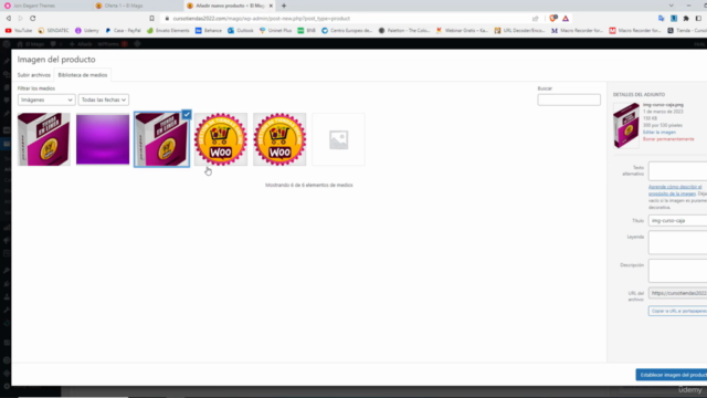 Dominando WordPress + DIVI 2025 – Screenshot 3