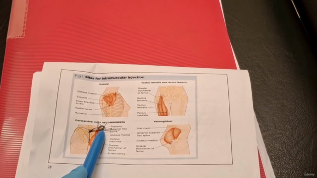 Intramuscular Vitamin Injection Course: B12, Biotin, C & D – Screenshot 3