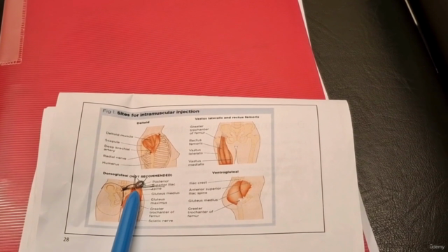Intramuscular Vitamin Injection Course: B12, Biotin, C & D – Screenshot 4