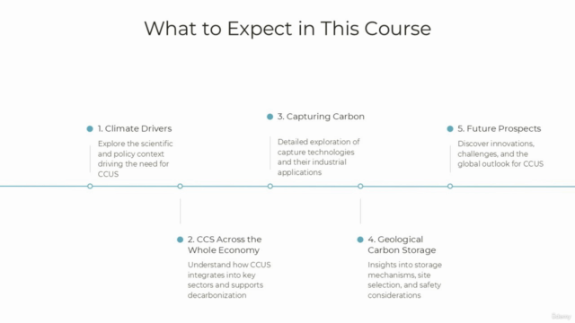 Master Carbon Capture, Utilization, and Storage (CCS) – Screenshot 4