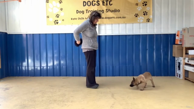 Here! Teach Your Dog To Come When Called – Screenshot 1