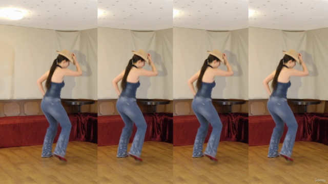 Line Dance Level 1 - Linedance Beginner Tänze – Screenshot 4