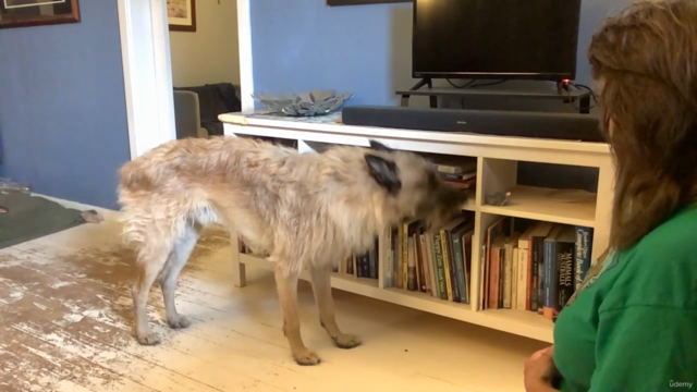 Sniff! Scent Detection Games For Pet Dog Fun – Screenshot 2