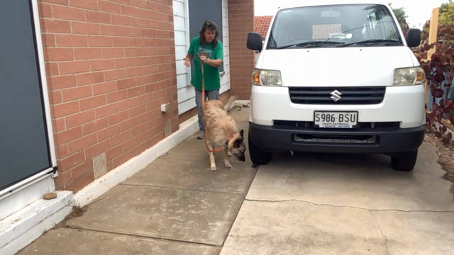 Sniff! Scent Detection Games For Pet Dog Fun – Screenshot 4