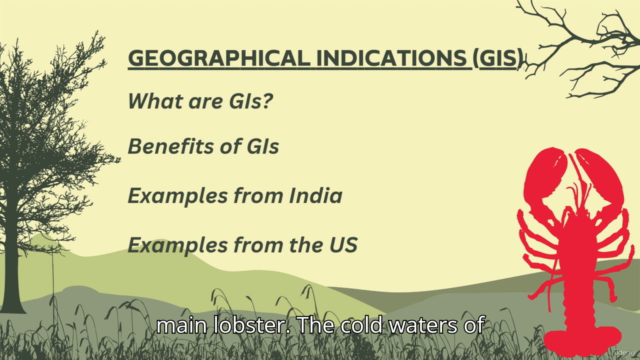 Understanding Geographical Indications (GIs) – Screenshot 3
