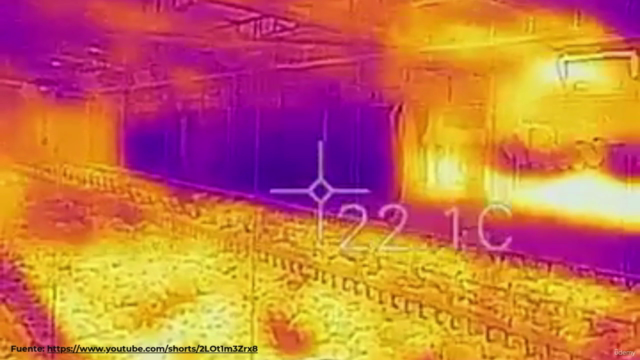Avicultura eficiente: cría del pollito en su primera semana – Screenshot 2
